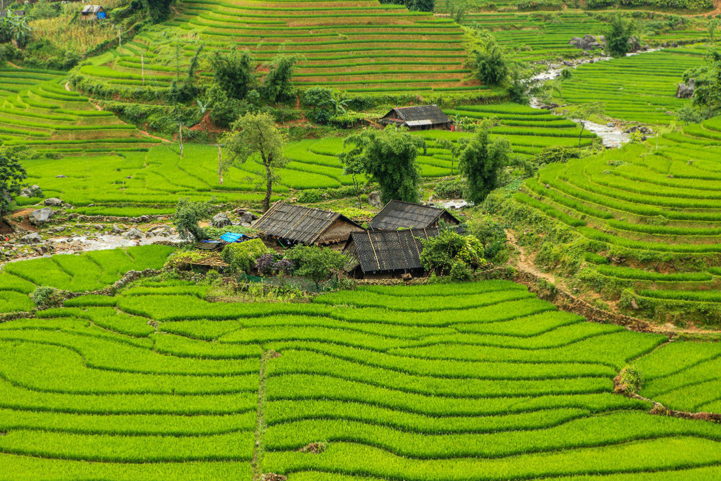Premium textile canvas Premium textile canvas 120 cm x 80 cm landscape farm in rice fields 