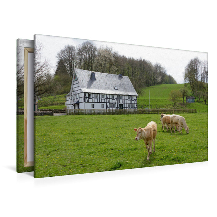 Premium Textil-Leinwand Premium Textil-Leinwand 120 cm x 80 cm quer Rinder vor Fachwerkhaus