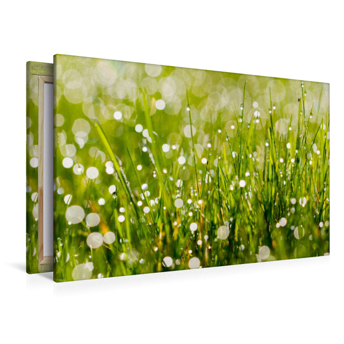 Premium textile canvas Premium textile canvas 120 cm x 80 cm landscape meadow with morning dew 