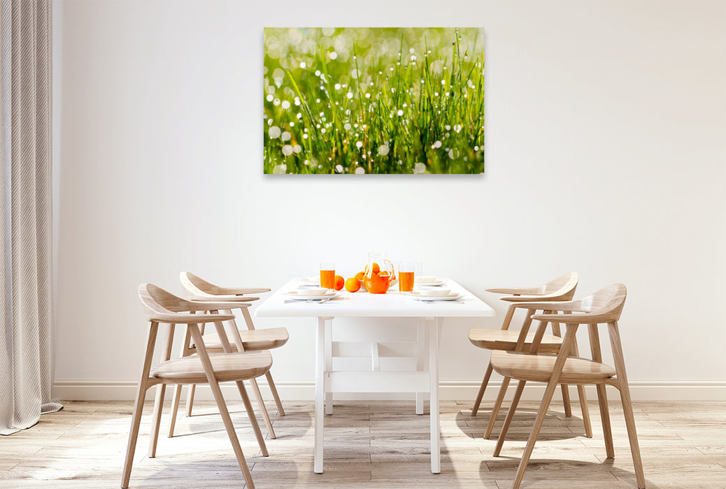 Premium textile canvas Premium textile canvas 120 cm x 80 cm landscape meadow with morning dew 