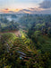 Ubud - Bali - CALVENDO Foto-Puzzle - calvendoverlag 29.99