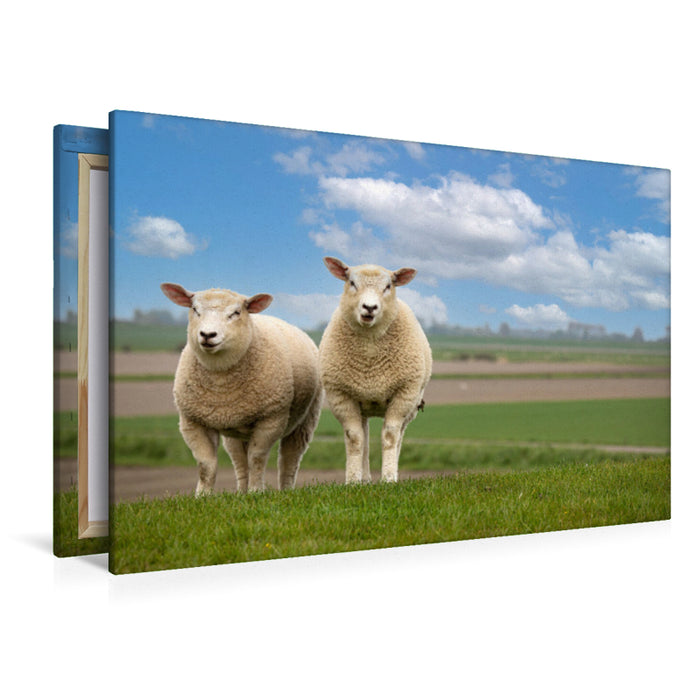 Premium Textil-Leinwand Premium Textil-Leinwand 120 cm x 80 cm quer Auf Erkundungstour