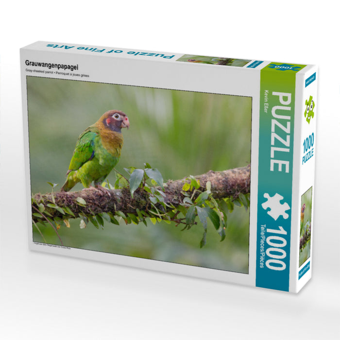 Grauwangenpapagei - CALVENDO Foto-Puzzle - calvendoverlag 29.99