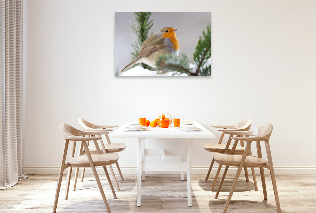 Premium textile canvas Premium textile canvas 120 cm x 80 cm landscape Fluffed up robin 