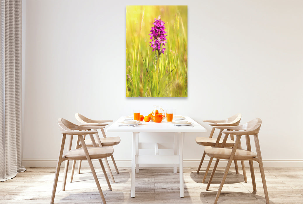 Premium textile canvas Premium textile canvas 80 cm x 120 cm high Broad-leaved orchid 