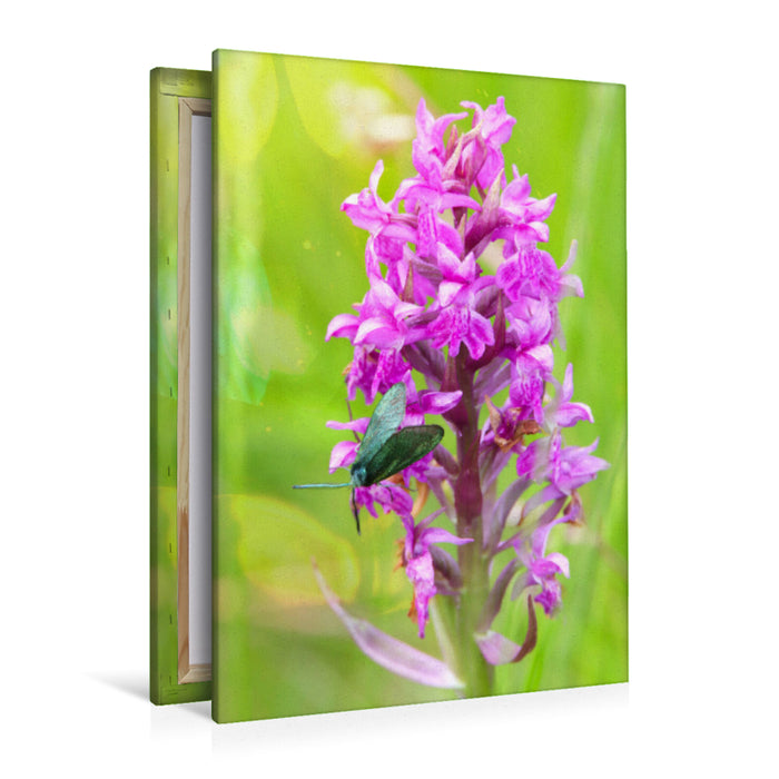Premium textile canvas Premium textile canvas 80 cm x 120 cm high Male Orchid 