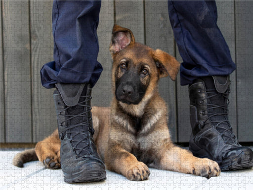 Sweet Little Police Dog - CALVENDO Foto-Puzzle - calvendoverlag 39.99