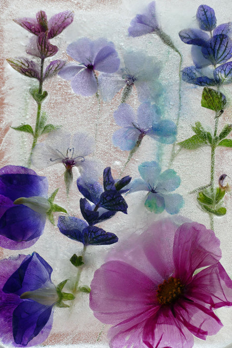 Premium Textil-Leinwand Premium Textil-Leinwand 80 cm x 120 cm  hoch Ein Motiv aus dem Kalender Eisblumen