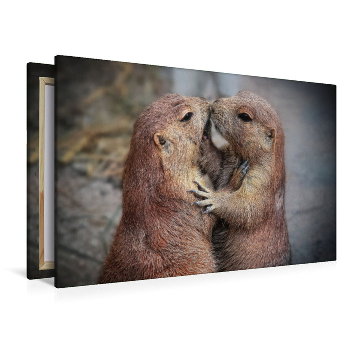 Premium textile canvas Premium textile canvas 120 cm x 80 cm landscape Prairie dogs 