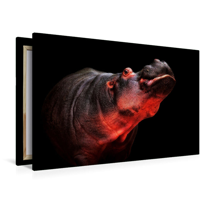 Premium textile canvas Premium textile canvas 120 cm x 80 cm landscape hippo 