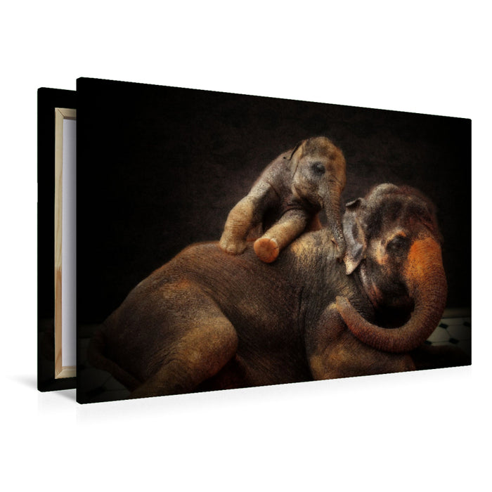 Premium Textil-Leinwand Premium Textil-Leinwand 120 cm x 80 cm quer Ein Motiv aus dem Kalender Tierische Portraits hautnah