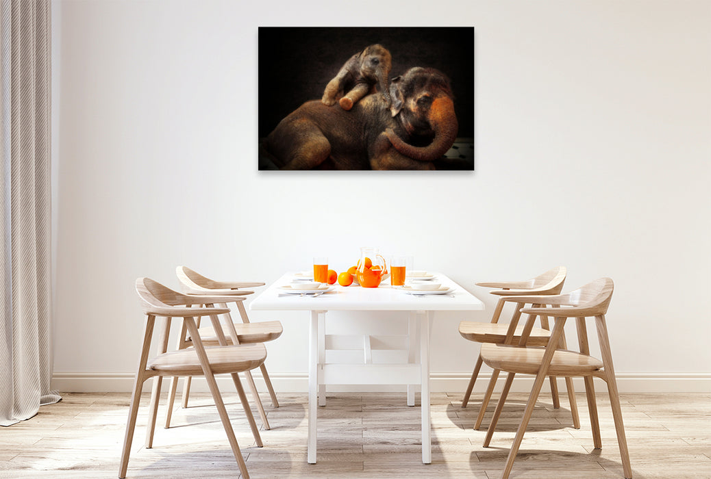 Premium textile canvas Premium textile canvas 120 cm x 80 cm landscape A motif from the calendar Animal Portraits up close 