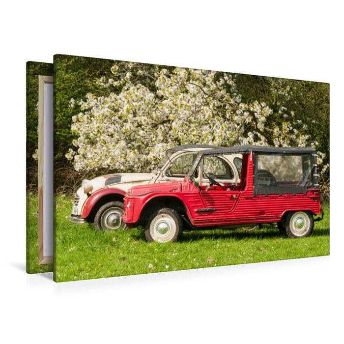 Premium textile canvas Premium textile canvas 120 cm x 80 cm landscape Two-cylinder meeting under the cherry tree 