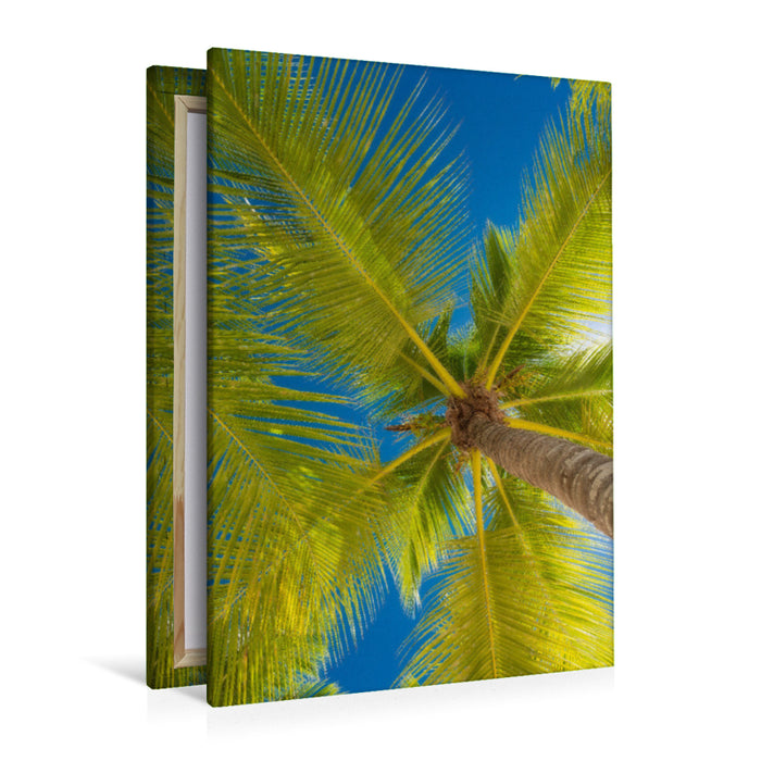 Premium textile canvas Premium textile canvas 80 cm x 120 cm high Isla Saona 