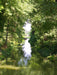 Im Wörlitzer Park, Venustempel im Hintergrund - CALVENDO Foto-Puzzle - calvendoverlag 29.99