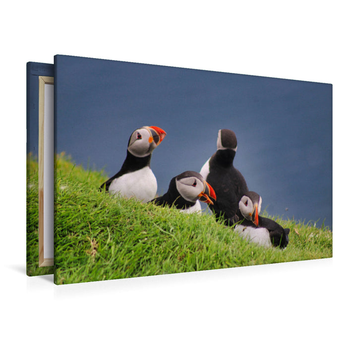 Premium textile canvas Premium textile canvas 120 cm x 80 cm across A motif from the Puffin 2022 calendar - Magical Birds of the Northern Sea 