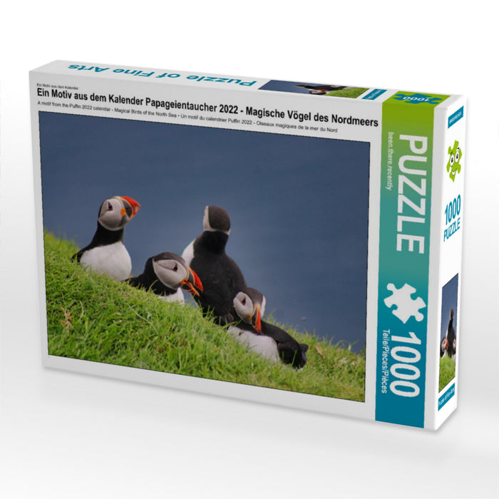 Papageientaucher 2022 - Magische Vögel des Nordmeers - CALVENDO Foto-Puzzle - calvendoverlag 29.99