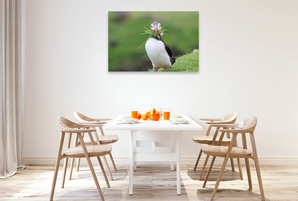Premium textile canvas Premium textile canvas 120 cm x 80 cm across A motif from the Puffin 2022 calendar - Magical Birds of the Northern Sea 