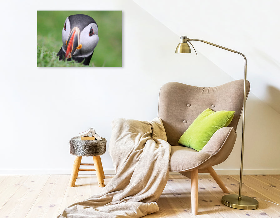 Premium textile canvas Premium textile canvas 75 cm x 50 cm across A motif from the Puffin 2022 calendar - Magical Birds of the Northern Sea 
