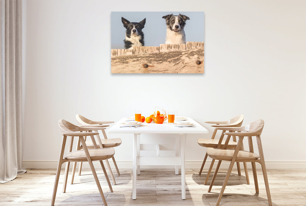 Premium textile canvas Premium textile canvas 120 cm x 80 cm across A motif from the Beach Tramps calendar 