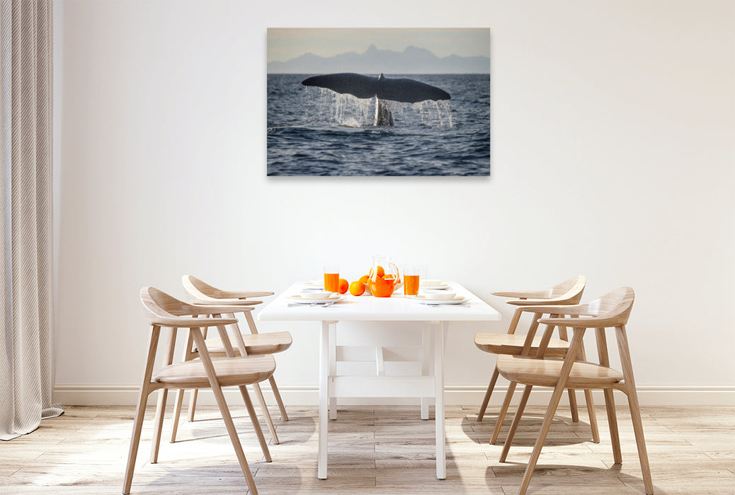 Premium textile canvas Premium textile canvas 120 cm x 80 cm landscape A motif from the calendar The Whales of Andenes 