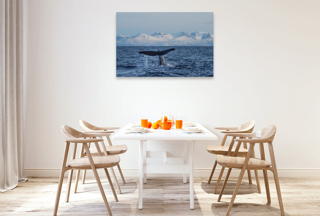 Premium textile canvas Premium textile canvas 120 cm x 80 cm landscape sperm whale in front of Senja 