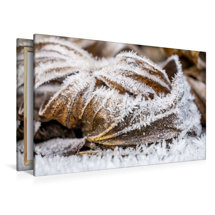 Premium textile canvas Premium textile canvas 120 cm x 80 cm across Unterm Hoarfrost 