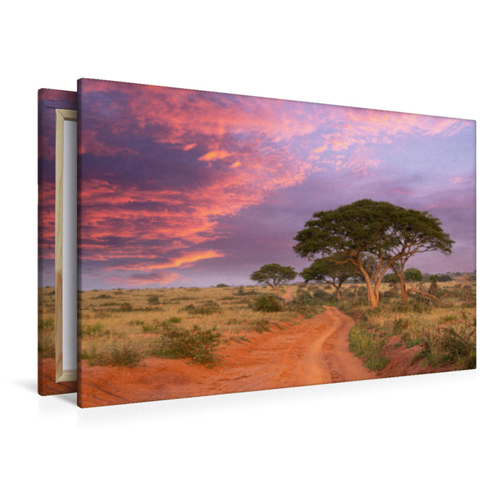 Premium textile canvas Premium textile canvas 120 cm x 80 cm landscape Evening atmosphere in Murchison Falls National Park 