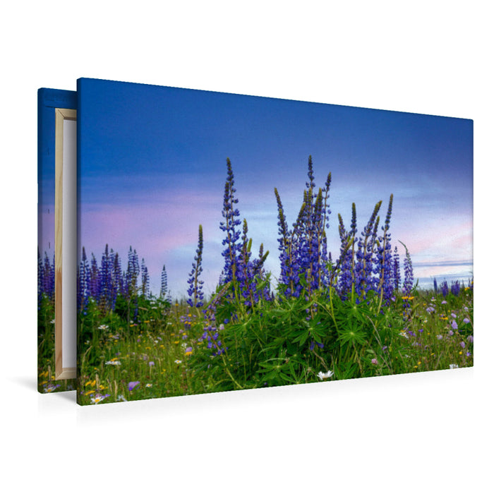 Premium textile canvas Premium textile canvas 120 cm x 80 cm landscape lupins 