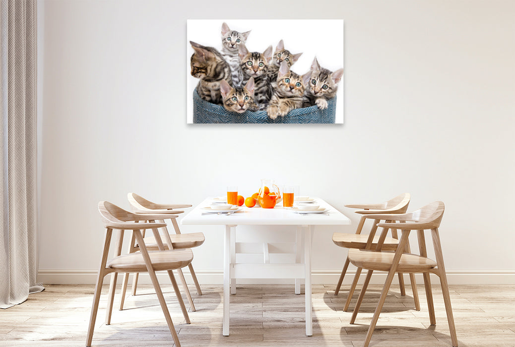 Premium textile canvas Premium textile canvas 120 cm x 80 cm across A motif from the Mini Leopards calendar - with Bengal kittens throughout the year 