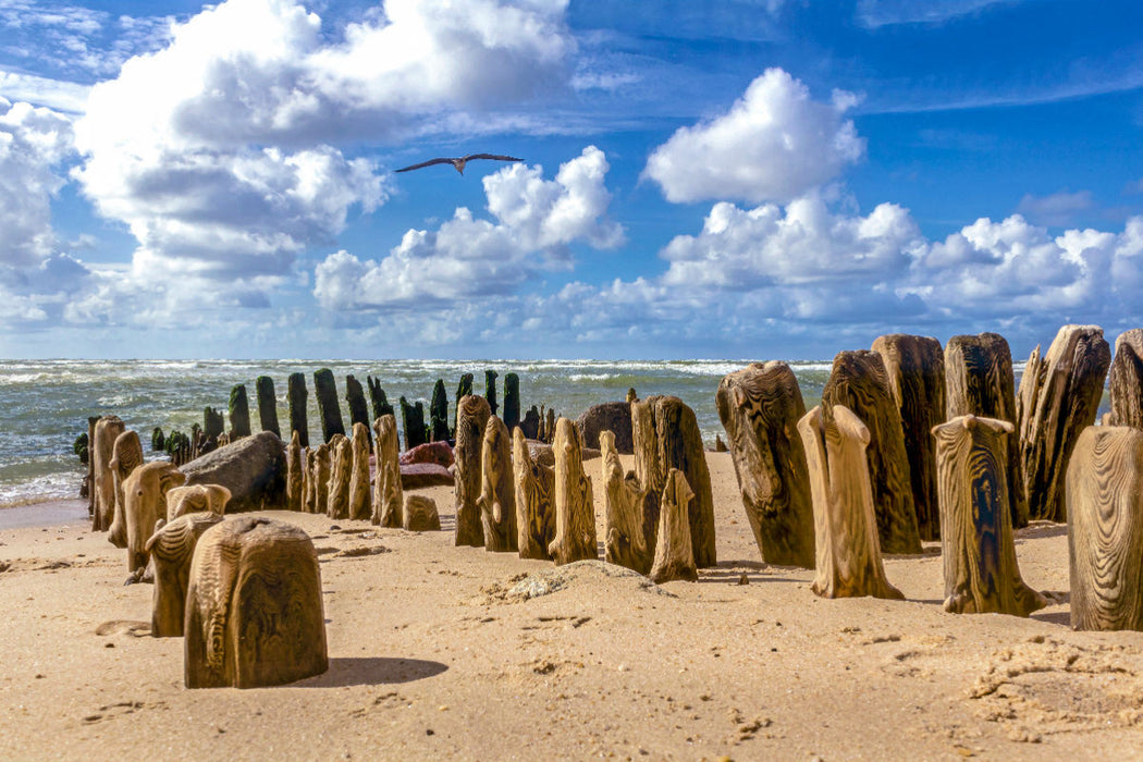 Premium textile canvas Premium textile canvas 120 cm x 80 cm across Groynes on the sandy beach of Sylt 