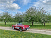 American Deam Car Corvette C1 - CALVENDO Foto-Puzzle - calvendoverlag 29.99
