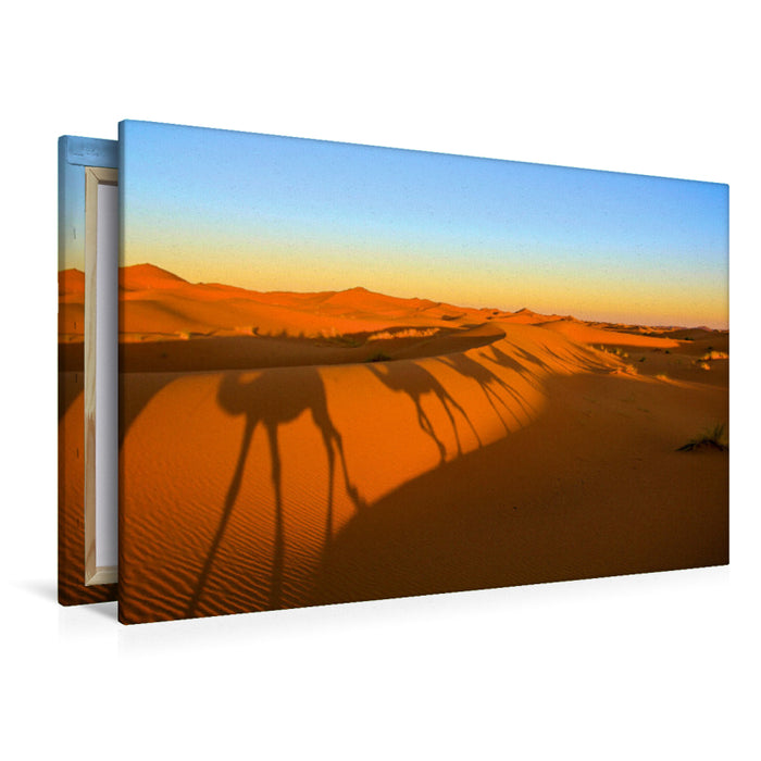 Premium Textil-Leinwand Premium Textil-Leinwand 120 cm x 80 cm quer Schattenspiel im Wüstensand