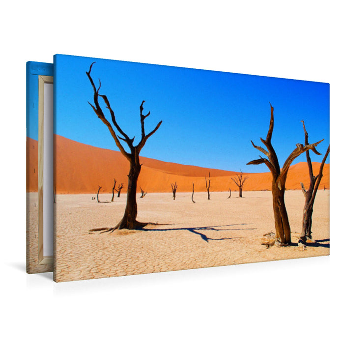 Premium Textil-Leinwand Premium Textil-Leinwand 120 cm x 80 cm quer 500 Jahre alte Akazienbäume im Deadvlei, Namibia