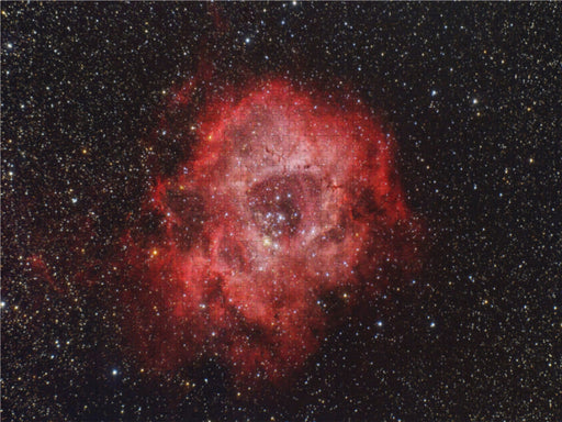 Rosettennebel / NGC2237 - CALVENDO Foto-Puzzle - calvendoverlag 31.99