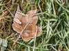 Ahorn auf der Winterwiese - CALVENDO Foto-Puzzle - calvendoverlag 39.99