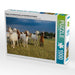 Ziegen und Heidschnucken am Schafstall bei Undeloh - CALVENDO Foto-Puzzle - calvendoverlag 29.99