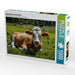 Liegende Kuh auf Almwiese - CALVENDO Foto-Puzzle - calvendoverlag 29.99