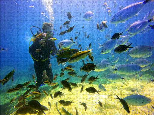 Tauchen - Taucherin umringt von bunten Fischen - CALVENDO Foto-Puzzle - calvendoverlag 29.99
