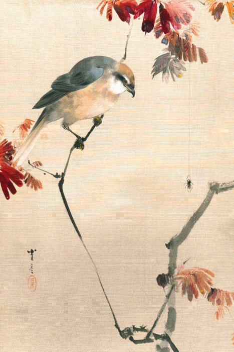 Premium Textil-Leinwand Premium Textil-Leinwand 80 cm x 120 cm  hoch Watanabe Seitei (1851-1918): Vogel auf einem Zweig, eine Spinne beobachtend, ca. 1887