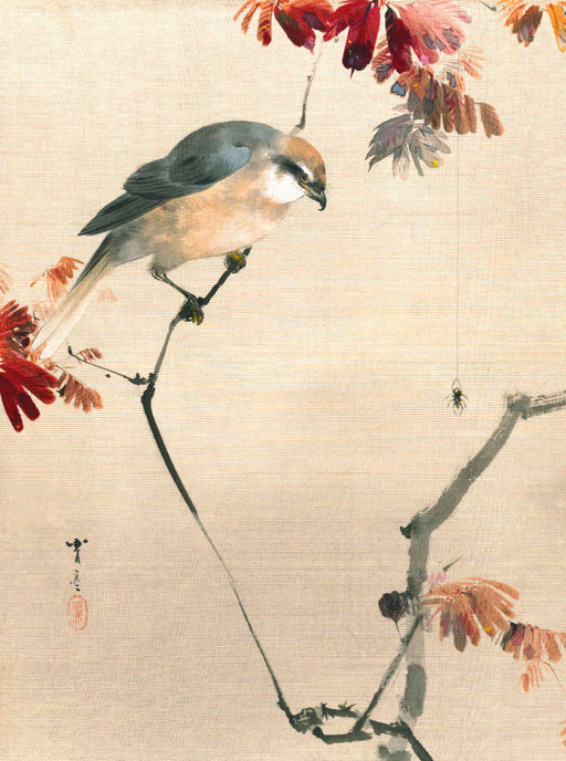 Watanabe Seitei (1851-1918): Vogel auf einem Zweig, eine Spinne beobachtend, ca. 1887 - CALVENDO Foto-Puzzle - calvendoverlag 39.99