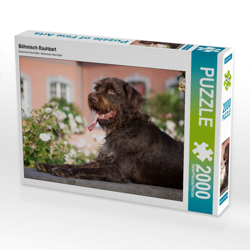 Böhmisch Rauhbart - CALVENDO Foto-Puzzle - calvendoverlag 32.99
