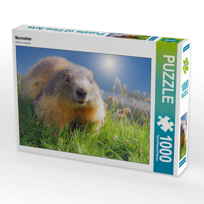 Marmot - CALVENDO photo puzzle 