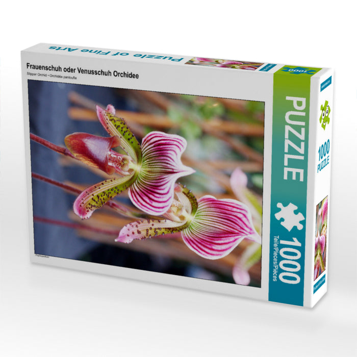Frauenschuh oder Venusschuh Orchidee - CALVENDO Foto-Puzzle - calvendoverlag 29.99