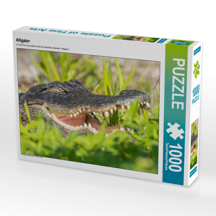 Alligator - CALVENDO Foto-Puzzle