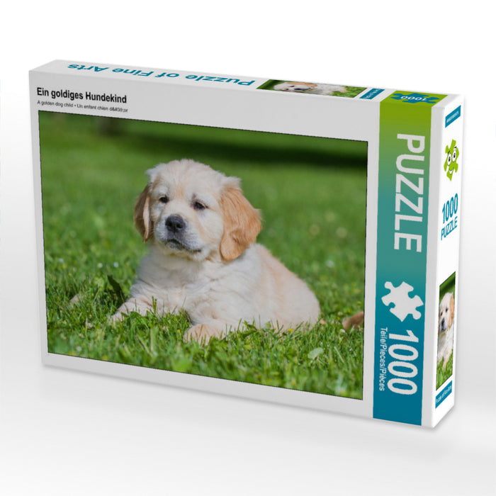Ein goldiges Hundekind - CALVENDO Foto-Puzzle