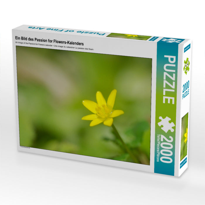 Une image du calendrier Passion pour les Fleurs - Puzzle photo CALVENDO 