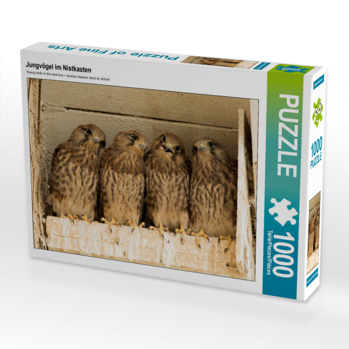 Young birds in the nesting box - CALVENDO photo puzzle 