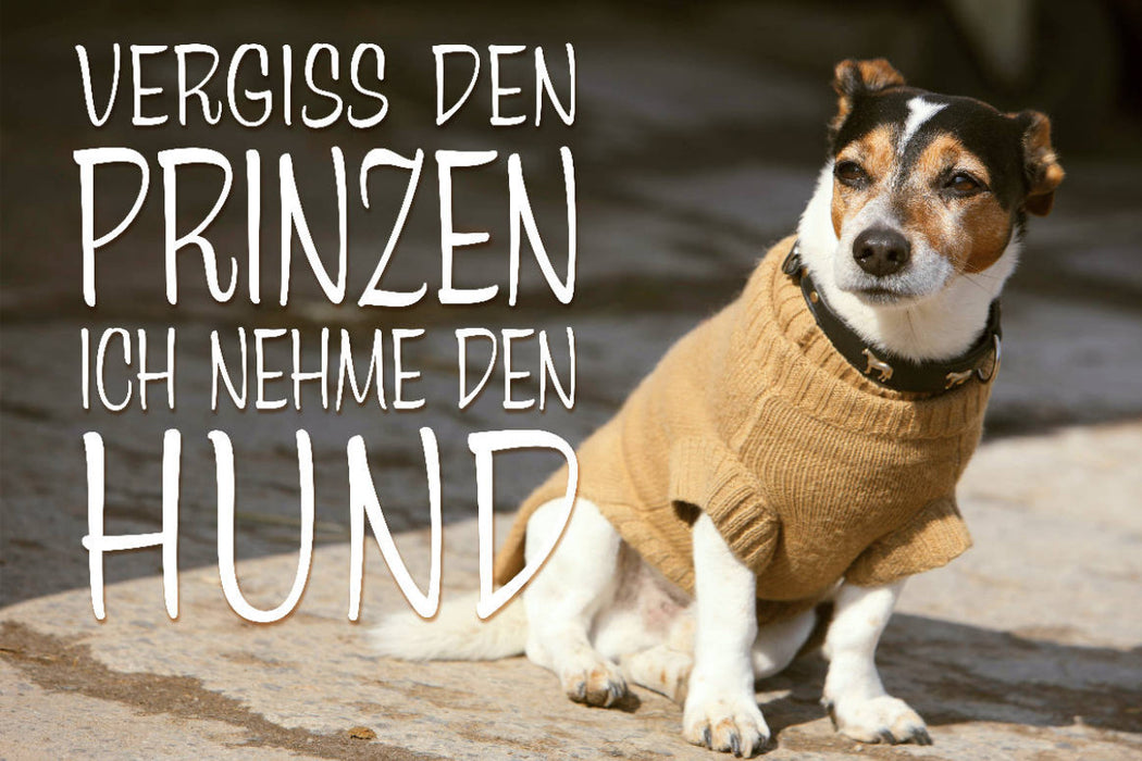 Premium Textil-Leinwand Premium Textil-Leinwand 120 cm x 80 cm quer Jack Russell Terrier mit modebewußtem Hundeanzug