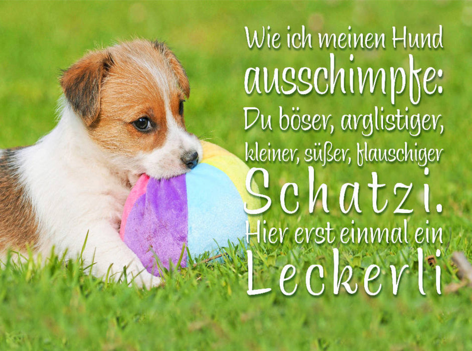 Jack Russell Terrier puppy lies in the meadow and nibbles on a ball - CALVENDO photo puzzle 